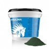 PharmaHorse Spiruline | Algues séchées pour Cheval | Cocktail de vitamines pour Cheval | sans éléments dopants & sans Sucre |