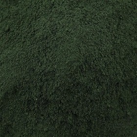 Gewürzgarten Spirulina platensis algues bleues , moulu, 120 g