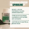 SPIRULINE BIO VEGAN titrée en Phycocyanine, Chlorophylle, Caroténoïdes, 60% Protéines, Riche en Nutriments, Antioxydants - 10