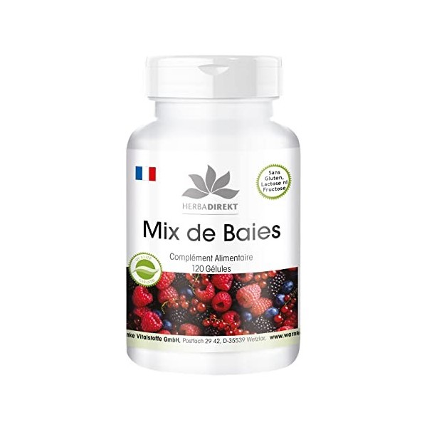 Mix de Baies - avec concorde, mures, sureau, framboise, myrtille, cassis, groseille rouge, canneberge et spiruline - 120 gélu