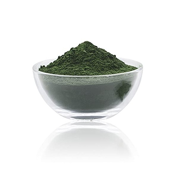 NUR BIO Spiruline en poudre 1 kg Superaliment vert protéine végétale riche en nutriments végétaliens