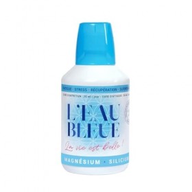 Bio Morvan - LEau Bleue - Silicium - Magnésium - 500 ml
