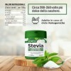 VITATIV Stevia Pure en poudre – Rébaudioside à 98 % édulcorant naturel – zéro calorie, idéal pour les régimes cétogènes, végé