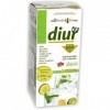 Pinisan Fito Diur Jarabe 500 ml