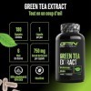Green Tea Extract - 180 gélules - Extrait de thé vert très fortement dosé avec 750mg dextrait de thé vert par gélule - 95% p