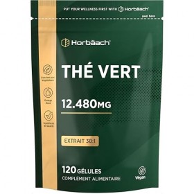 Extrait Thé Vert Gelules 12480 mg | Green Tea Extract | Extrait Haute Résistance | 120 Gélules de Poudre | Végétalien et Végé