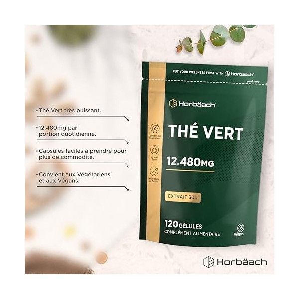 Extrait Thé Vert Gelules 12480 mg | Green Tea Extract | Extrait Haute Résistance | 120 Gélules de Poudre | Végétalien et Végé