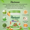 Herboxa SUPER GREENS Complément alimentaire en poudre avec racine de chicorée zinc et chrome saveur pêche glacée 50 portions