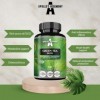 Extrait de Thé Vert 500mg, Contient 50% EGCG et 98% Polyphénols, 120 Capsules Végétales, 4 Mois dapprovisionnement, Brûleur 