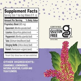 Celestial Seasonings Wellness Tea Sleepytime Sinus Soother 6x20 Bag 