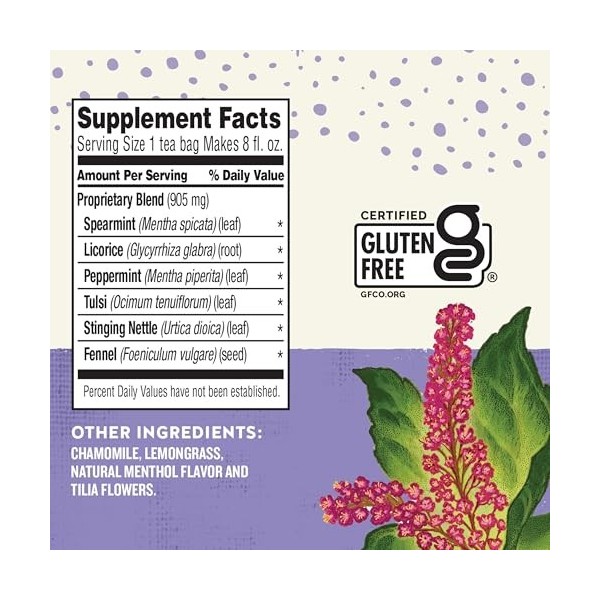 Celestial Seasonings Wellness Tea Sleepytime Sinus Soother 6x20 Bag 