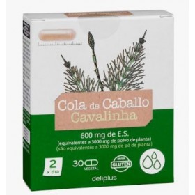 Prêle des Champs 600 mg Extrait Sec Lot de 3 Boîtes de 30 Gélules Total 90 Gélules - Drainage, Détox et Reminéralisation