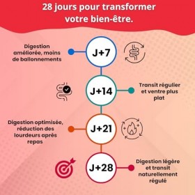 Infinithés –Solution Digestive - Thé Digestif - Cure 28 Jours - Confort Intestinal, Digestion Légère, Anti-Ballonnement - 28 