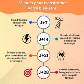 Infinithés – Solution Energie - Thé Energie - Cure 28 Jours - Booster Naturel d’Énergie - Combat la Fatigue, Améliore la Conc