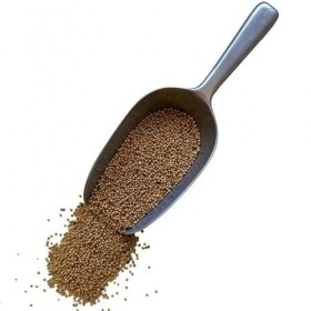 Tisane Moutarde blanche 250 GRS graine entière. Thé vert