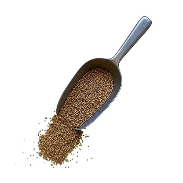 Tisane Moutarde blanche 250 GRS graine entière. Thé vert