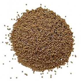 Tisane Moutarde blanche 250 GRS graine entière. Thé vert