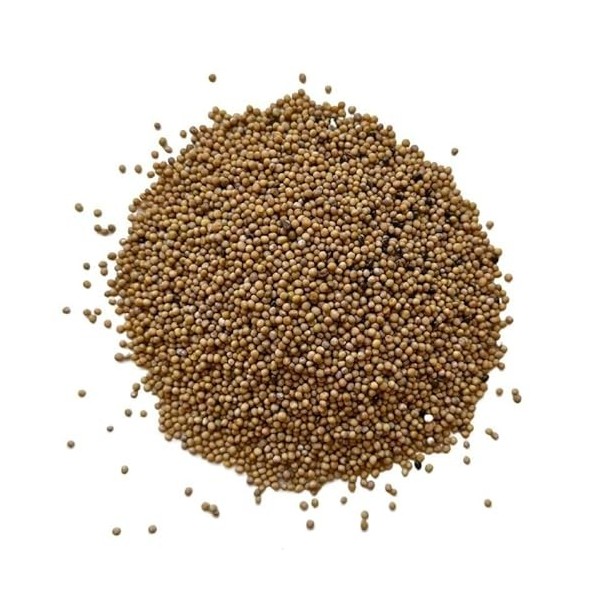 Tisane Moutarde blanche 250 GRS graine entière. Thé vert