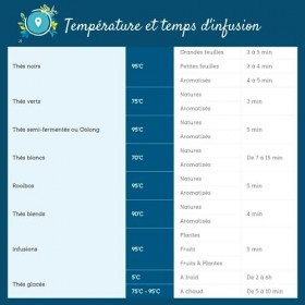2x100g de Thé vert au Pamplemousse délicatement épicé - Délicieux Chaud ou Glacé | LIrrésistible Pamplemousse Détox COMPTOIR