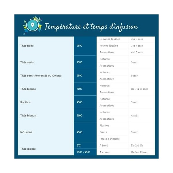 2x100g de Thé vert au Pamplemousse délicatement épicé - Délicieux Chaud ou Glacé | LIrrésistible Pamplemousse Détox COMPTOIR