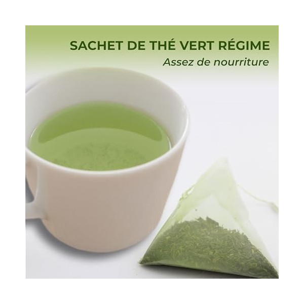 Japanese Green Tea Co Tappuri Catchin Sachets de thé vert – Authentiques entièrement naturels sans OGM riches en antioxydants