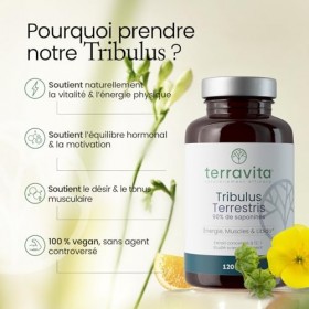 TRIBULUS Terrestris | Hautement Concentré : Extrait 12:1 | Titré à 90% en Saponine | 120 Gélules | 1500 mg par Dose | Perform