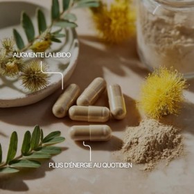 Tribulus Terrestris - 60 Gélules - Booster Testostérone Naturel - Performance & Libido Homme