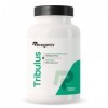 Tribulus Terrestris 1000 mg par Gélule | Titré en Saponines 10:1 | Energie & Endurance | Favorise la Croissance Musculaire, l