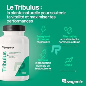 Tribulus Terrestris 1000 mg par Gélule | Titré en Saponines 10:1 | Energie & Endurance | Favorise la Croissance Musculaire, l