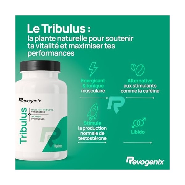 Tribulus Terrestris 1000 mg par Gélule | Titré en Saponines 10:1 | Energie & Endurance | Favorise la Croissance Musculaire, l