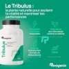 Tribulus Terrestris 1000 mg par Gélule | Titré en Saponines 10:1 | Energie & Endurance | Favorise la Croissance Musculaire, l