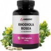 Ambervit Rhodiola rosea 500 mg 180 gélules Extrait de racine titré à 3 % de salidroside Végan, sans agents de remplissage art