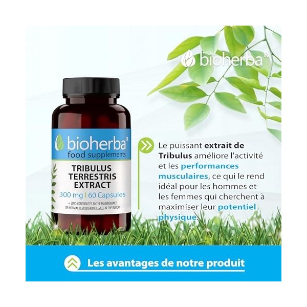 Tribulus Terrestris – 100 Gélules de 300 mg | Avec zinc – Complément végétal pour le tonus masculin – par BIOHERBA