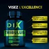 TRIBULUS TERRESTRIS ✗ Haute concentration 100:1 ✗ Performance sportive ✗ 95% Sapionins ✗ 60% Protodioscin ✗ Testé certifié ✗ 