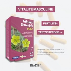 Orthonat - Tribulus Terrestris Max - Complément Alimentaire Fertilité*, Testostérone** - 450 mg d’Extrait Sec de Tribulus Ter