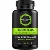 Tribulus Terrestris - Extrait de fruit avec 90% de saponines, Ashwagandha 10:1, Maca noire 20:1, Zinc, Sélénium, Calcium & Vi