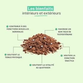 Rue Des Plantes - Tribulus Terrestris Poudre 500g | Complément Alimentaire pour Booster Énergie, Performance et Tonus Muscula