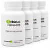 TRIBULUS TERRESTRIS * 470 mg/gélules végétales - Titré à 40% min. en saponines 90 Unité Lot de 4 Tribulus