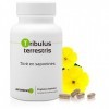 TRIBULUS TERRESTRIS * 470 mg/gélules végétales - Titré à 40% min. en saponines 90 Unité Lot de 4 Tribulus