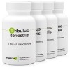 TRIBULUS TERRESTRIS * 470 mg/gélules végétales - Titré à 40% min. en saponines 90 Unité Lot de 4 Tribulus
