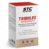 STC NUTRITION - Tribulus Synergy + - Favorise le maintien du taux de testostérone - Améliore les performances physiques & Amé