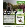 Triphala bio - Haute dose de 2000 mg 500 mg par gélule - 365 gélules - Poudre de Triphala de lInde : Haritaki, Amalaki, Bi
