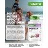 Valériane – 500 comprimés – 1000 mg par portion quotidienne Valeriana officinalis – véritable racine de valériane – plus de