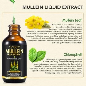 Extrait de Feuilles de Molène, Gouttes de Molène Absorption Rapide, Gouttes Dextrait de Feuille de Molène pour Poumons, Comp