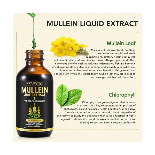 Extrait de Feuilles de Molène, Gouttes de Molène Absorption Rapide, Gouttes Dextrait de Feuille de Molène pour Poumons, Comp