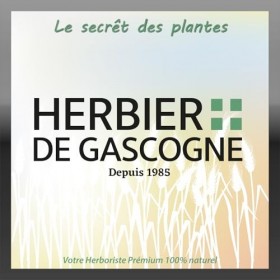 Valériane BIO | 200 gélules | Sommeil & Relaxation | 280 mg dosage 100% naturel sans additif et non comprimé | LHERBIER DE G