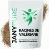 Racine de Valériane Coupée 100g pour Tisane et Décoction | Sommeil Naturel Profond et Réparateur | Anti Stress Anxiété | Rela