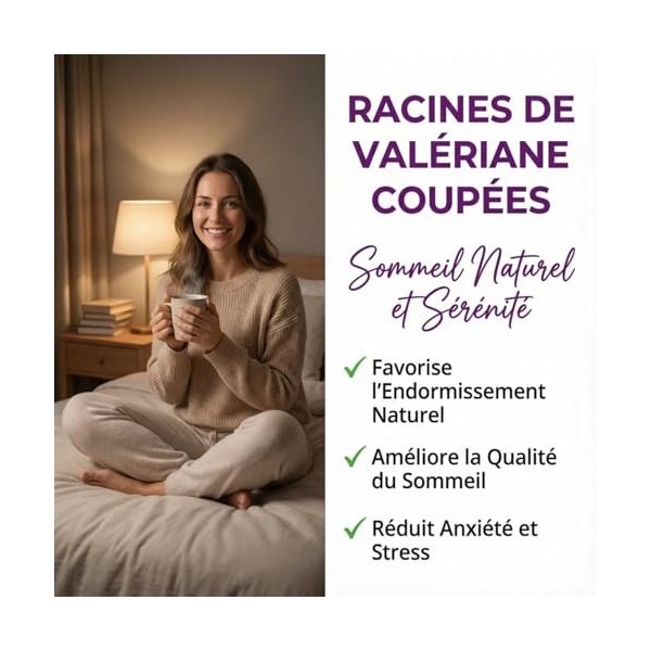 Racine de Valériane Coupée 100g pour Tisane et Décoction | Sommeil Naturel Profond et Réparateur | Anti Stress Anxiété | Rela