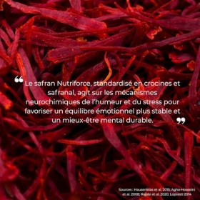 Extrait de Safran – Équilibre de l’Humeur, Détente & Clarté Mentale – 500 mg