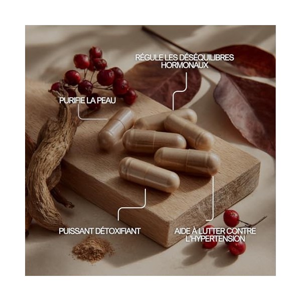 Salsepareille 500 mg – Plante Traditionnelle – 60 Gélules Végétales – 100% Pure & Naturelle